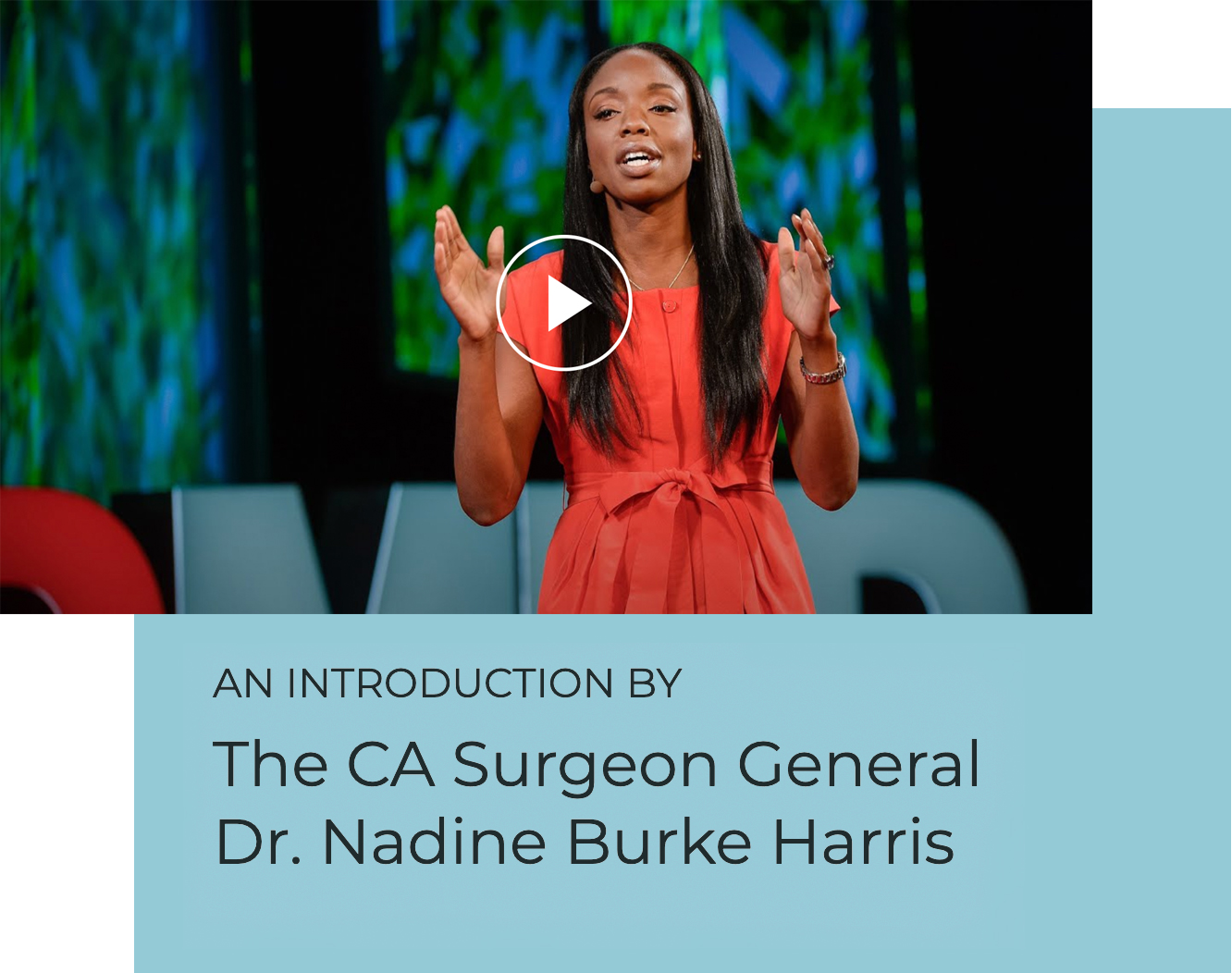 Dr Nadine Burke