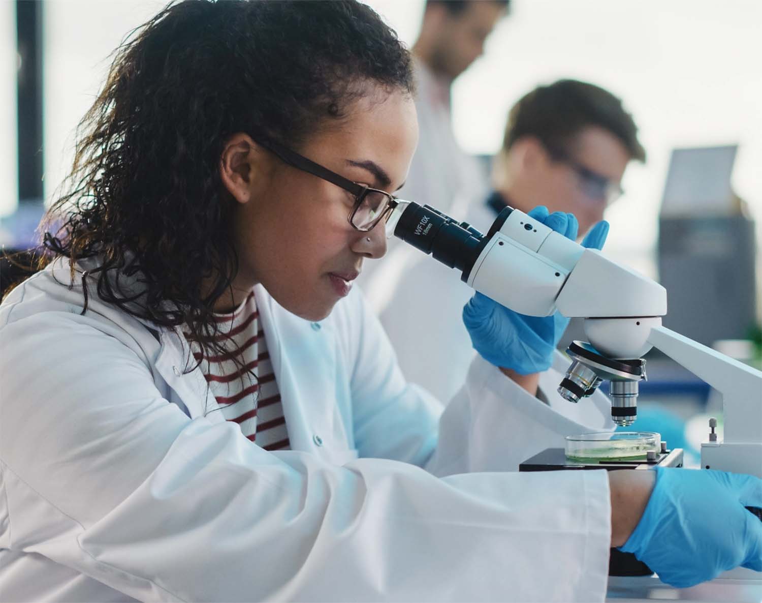 Hertz Foundation 2 Hertz Foundation woman at microscope