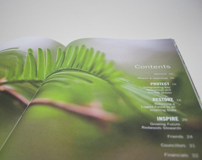 Nationally Recognized Family Caregiver Resource Brand Refresh and Website Design + Development 8 Save The Redwoods Annual Report Design spread