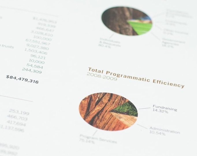 Save The Redwoods Annual Report Design spread 3