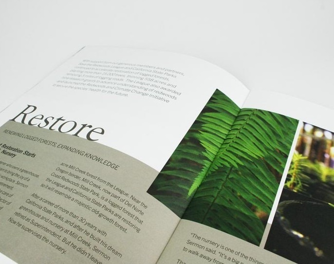 Save The Redwoods Annual Report Design spread 4