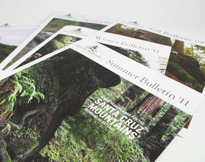 Save The Redwoods Newsletter Design covers