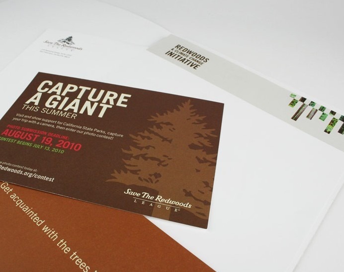 Save The Redwoods Collateral Design