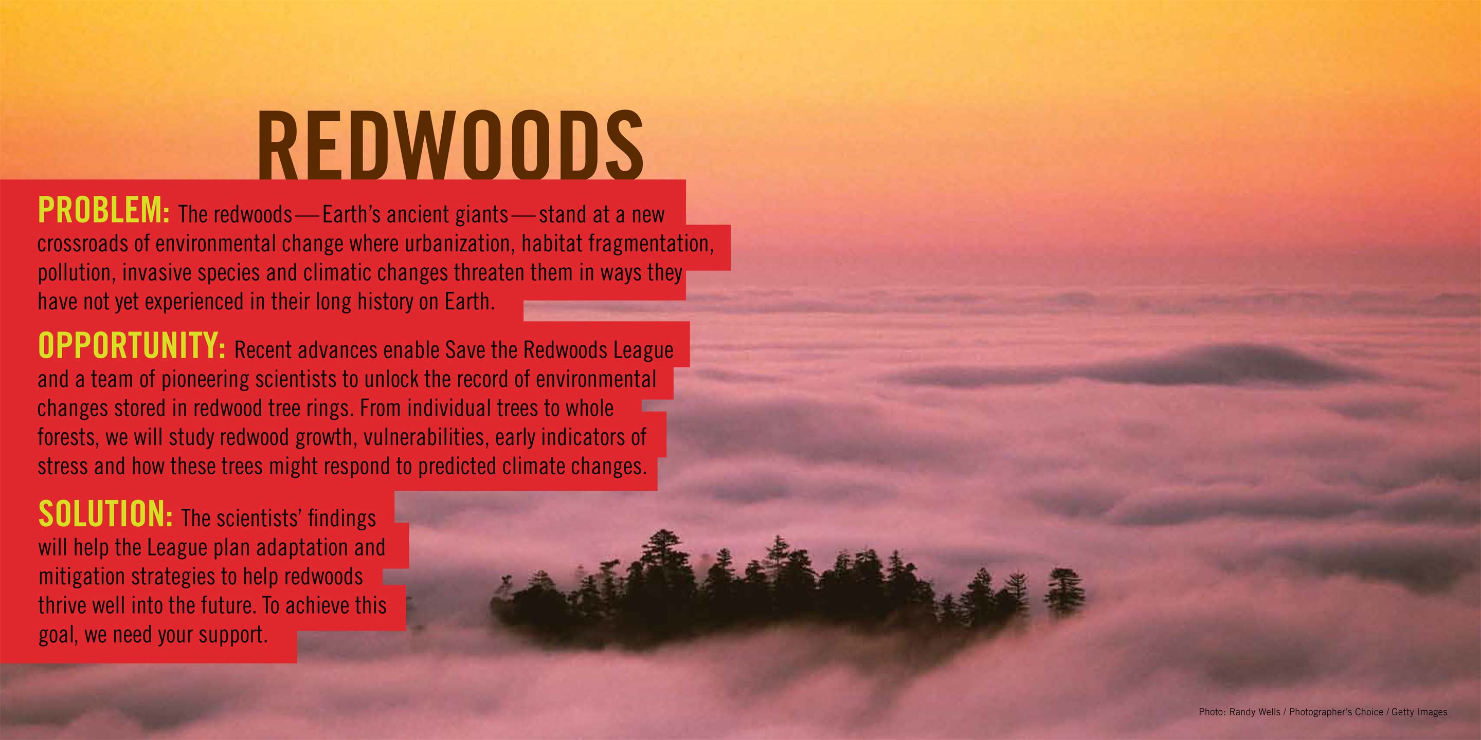 2024 Hill Physicians 8 climate change brochure design