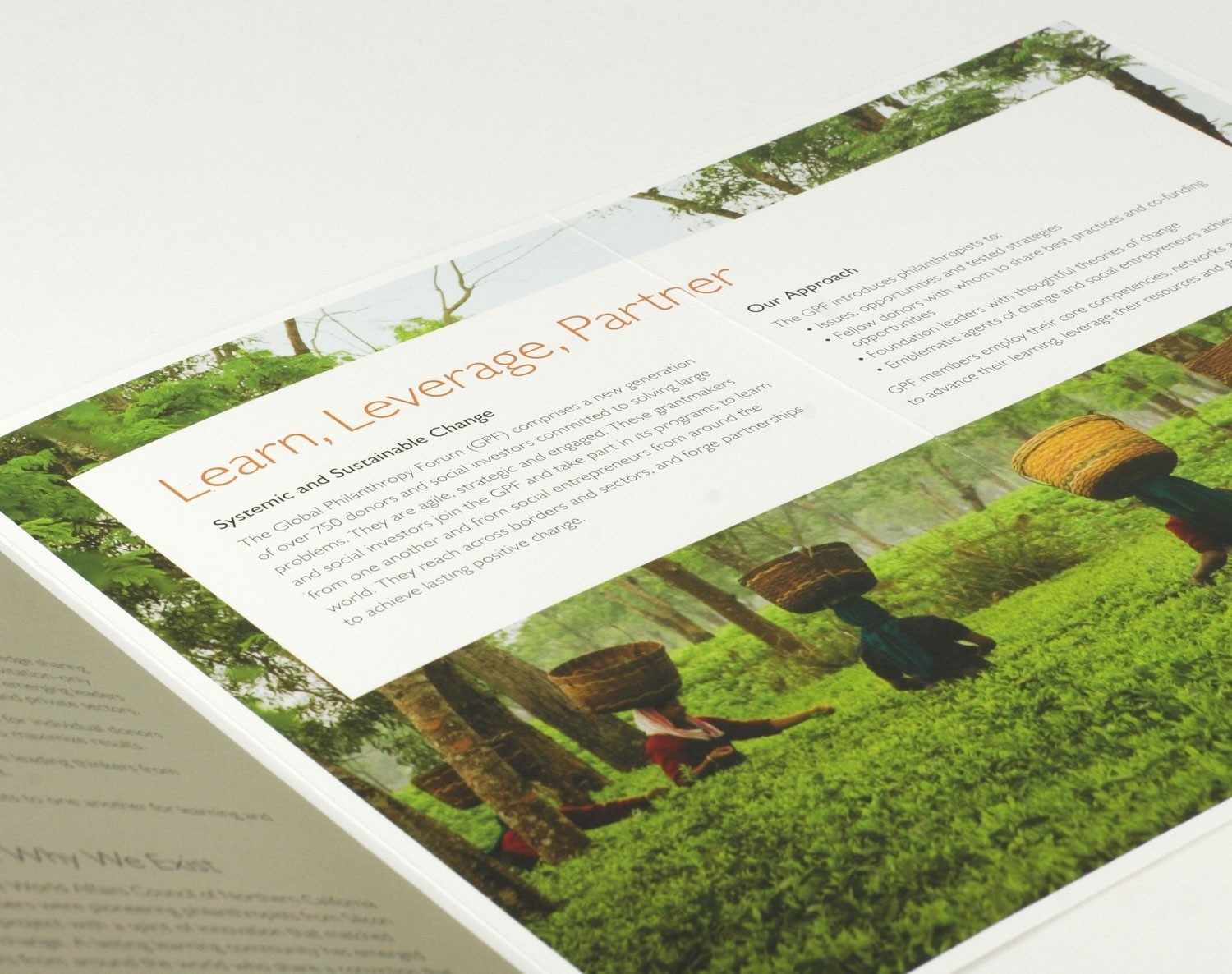 philanthropy nonprofit foundation collateral about brochure