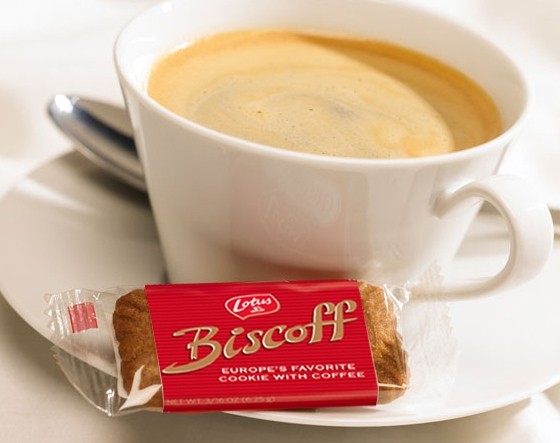 biscoff cup