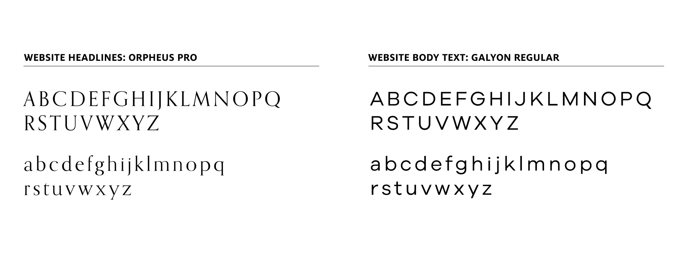 Project6 Launches Immigrant Rights Advocacy Coalition Website 7 Nonprofit font choices web and print