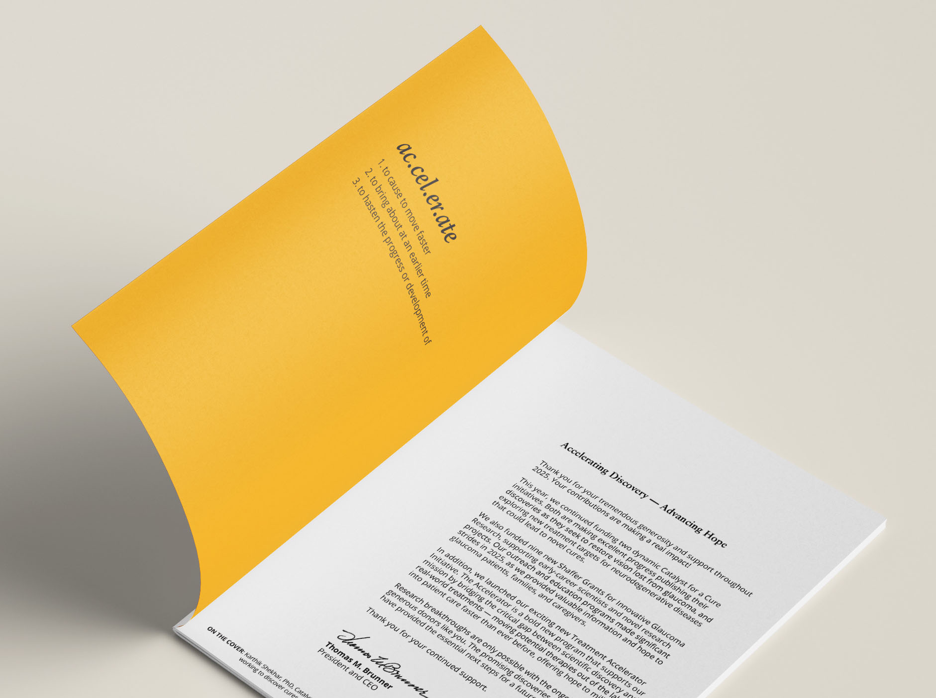 Glaucoma 2025 Annual Report internal cover