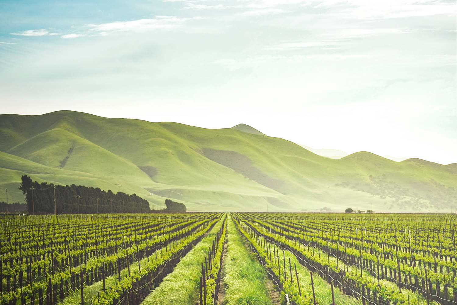 Green hills and farmland