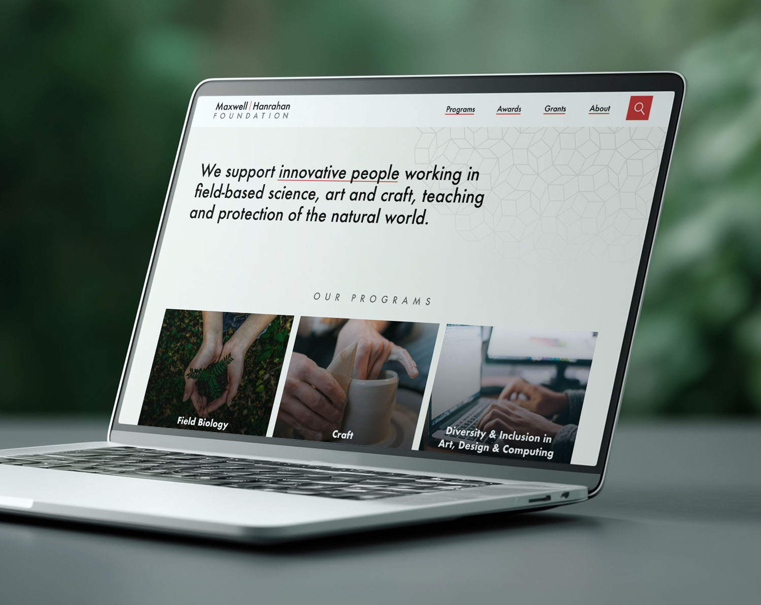 client website design on a laptop