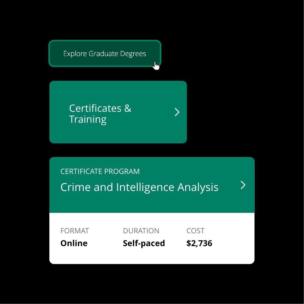 CCE web's button and card design